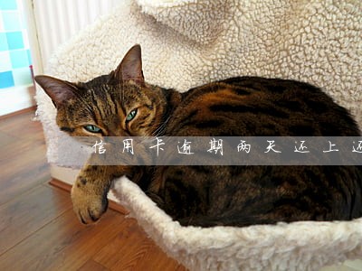 信用卡逾期两天还上还能用吗 信用卡逾期两天还上还能用吗