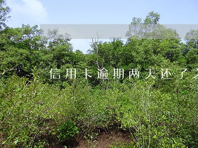 信用卡逾期两天还了之后还能用吗 信用卡逾期两天还了之后还能用吗