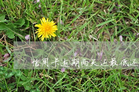 信用卡逾期两天还最低还款
