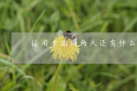 信用卡逾期两天还有什么影响 信用卡逾期两天还有什么影响