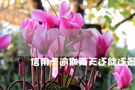 信用卡逾期两天还能还最低还款吗 信用卡逾期两天还能还最低还款吗