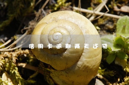 信用卡逾期两天还贷 信用卡逾期两天还贷