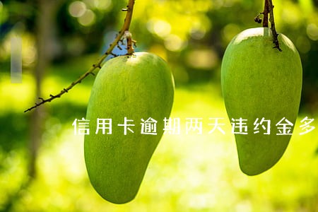 信用卡逾期两天违约金多少 信用卡逾期两天违约金多少