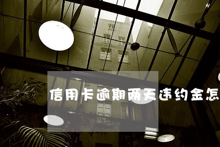 信用卡逾期两天违约金怎么消除 信用卡逾期两天违约金怎么消除