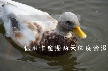 信用卡逾期两天额度会没了吗