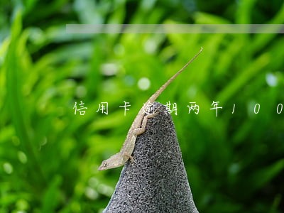 信用卡逾期两年10000 信用卡逾期两年10000