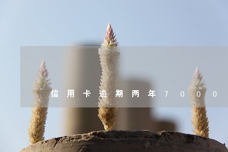 信用卡逾期两年7000 信用卡逾期两年7000