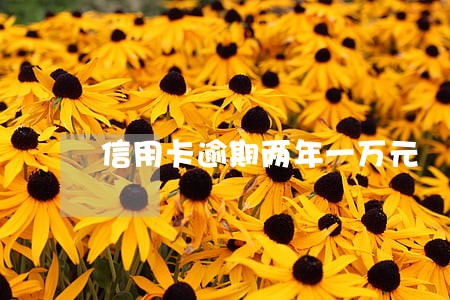 信用卡逾期两年一万元 信用卡逾期两年一万元