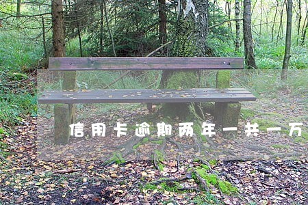 信用卡逾期两年一共一万七 信用卡逾期两年一共一万七