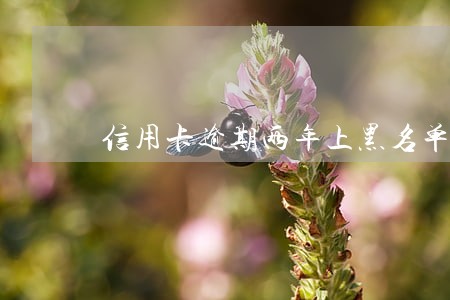 信用卡逾期两年上黑名单吗
