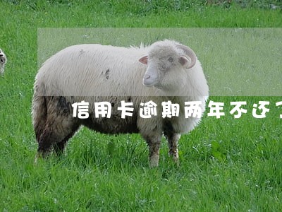 信用卡逾期两年不还了