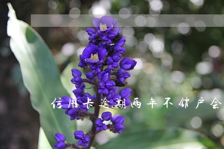 信用卡逾期两年不销户会怎么样 信用卡逾期两年不销户会怎么样