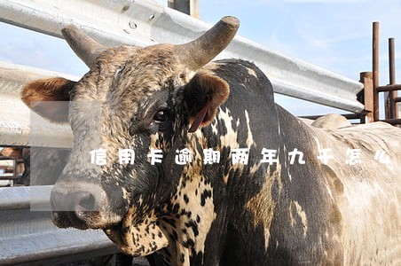 信用卡逾期两年九千怎么处理 信用卡逾期两年九千怎么处理