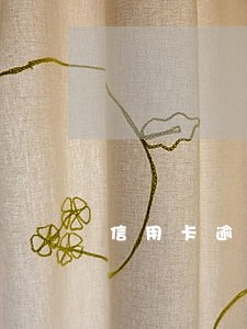 信用卡逾期两年了会不会抓人 信用卡逾期两年了会不会抓人