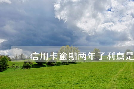 信用卡逾期两年了利息是多少 信用卡逾期两年了利息是多少