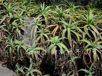信用卡逾期两年了可以买火车票 信用卡逾期两年了可以买火车票