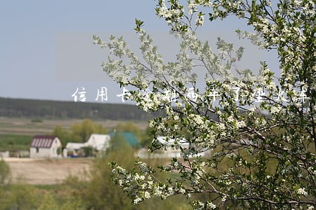 信用卡逾期两年了坐火车有事没 信用卡逾期两年了坐火车有事没