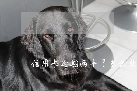 信用卡逾期两年了怎么处理 信用卡逾期两年了怎么处理