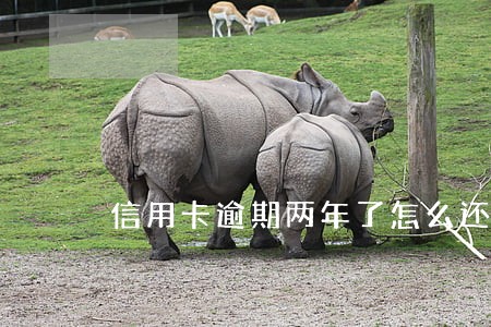 信用卡逾期两年了怎么还不抓我 信用卡逾期两年了怎么还不抓我
