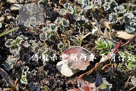 信用卡逾期两年了有什么后果 信用卡逾期两年了有什么后果