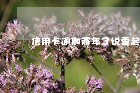 信用卡逾期两年了说要起诉 信用卡逾期两年了说要起诉