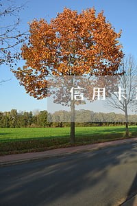 信用卡逾期两年了还能坐高铁吗