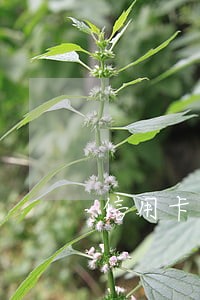 信用卡逾期两年了银行发律师函了 信用卡逾期两年了银行发律师函了