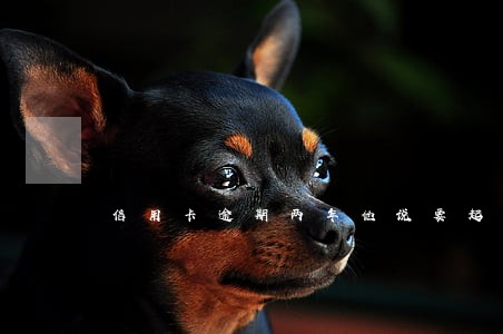 信用卡逾期两年他说要起诉我 信用卡逾期两年他说要起诉我
