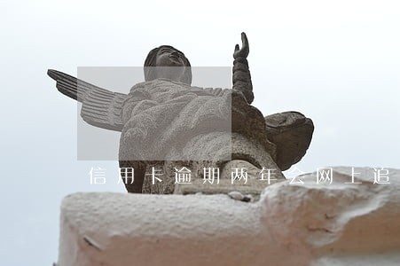 信用卡逾期两年会网上追逃吗 信用卡逾期两年会网上追逃吗