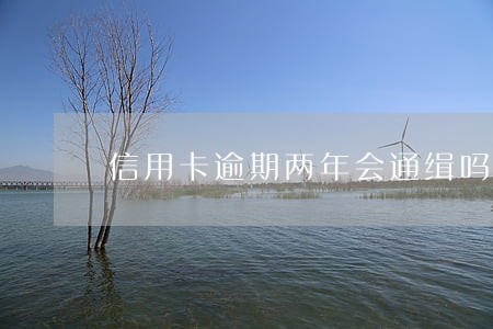 信用卡逾期两年会通缉吗