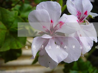 信用卡逾期两年会随时自动扣款吗 信用卡逾期两年会随时自动扣款吗