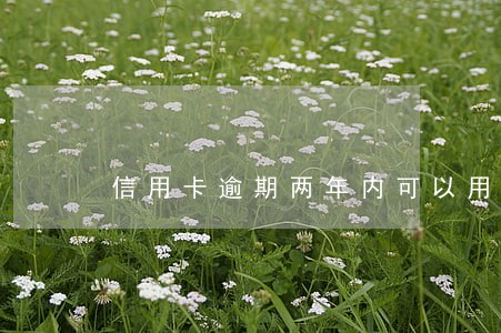 信用卡逾期两年内可以用公积金吗 信用卡逾期两年内可以用公积金吗