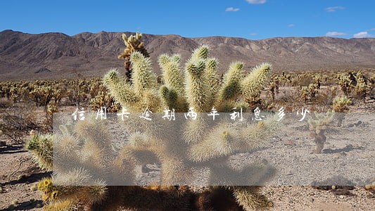 信用卡逾期两年利息多少 信用卡逾期两年利息多少
