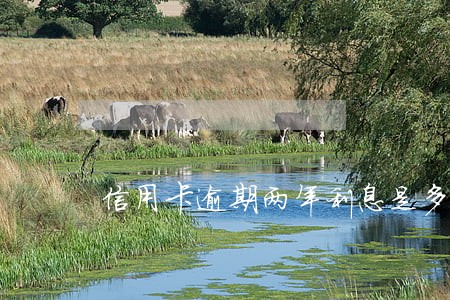 信用卡逾期两年利息是多少的 信用卡逾期两年利息是多少的