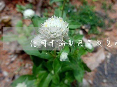 信用卡逾期两年利息比本金高2倍