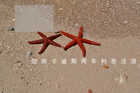 信用卡逾期两年利息没涨 信用卡逾期两年利息没涨