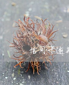 信用卡逾期两年利息翻倍合理吗 信用卡逾期两年利息翻倍合理吗