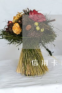 信用卡逾期两年利益一万多 信用卡逾期两年利益一万多