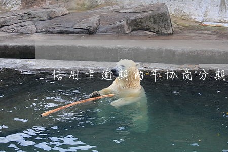 信用卡逾期两年协商分期