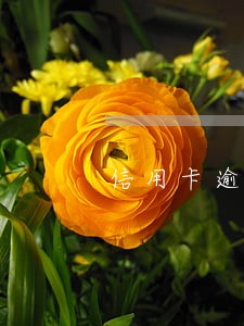 信用卡逾期两年卡被注销