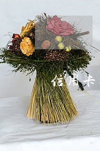 信用卡逾期两年可以买房 信用卡逾期两年可以买房