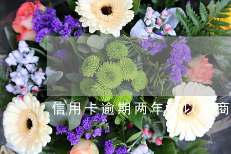 信用卡逾期两年可以协商分期还么 信用卡逾期两年可以协商分期还么
