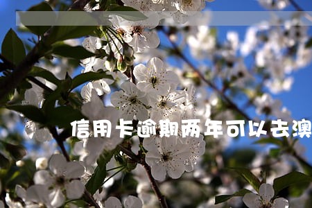 信用卡逾期两年可以去澳门吗 信用卡逾期两年可以去澳门吗