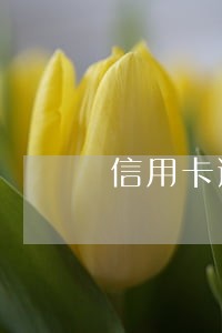 信用卡逾期两年可以只还本金吗 信用卡逾期两年可以只还本金吗
