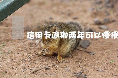 信用卡逾期两年可以慢慢还吗 信用卡逾期两年可以慢慢还吗
