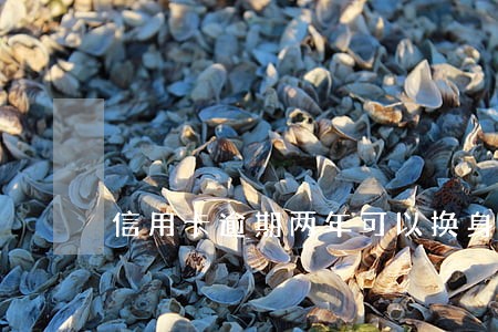 信用卡逾期两年可以换身份证吗 信用卡逾期两年可以换身份证吗