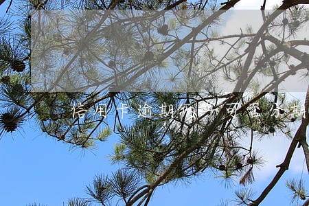 信用卡逾期两年可否分期还 信用卡逾期两年可否分期还