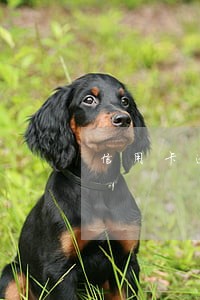 信用卡逾期两年后利息会减免吗 信用卡逾期两年后利息会减免吗