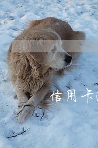 信用卡逾期两年后要怎么处理 信用卡逾期两年后要怎么处理