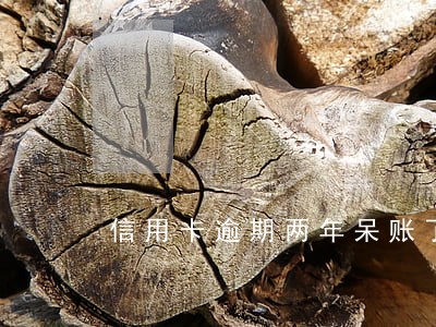 信用卡逾期两年呆账了怎么办 信用卡逾期两年呆账了怎么办